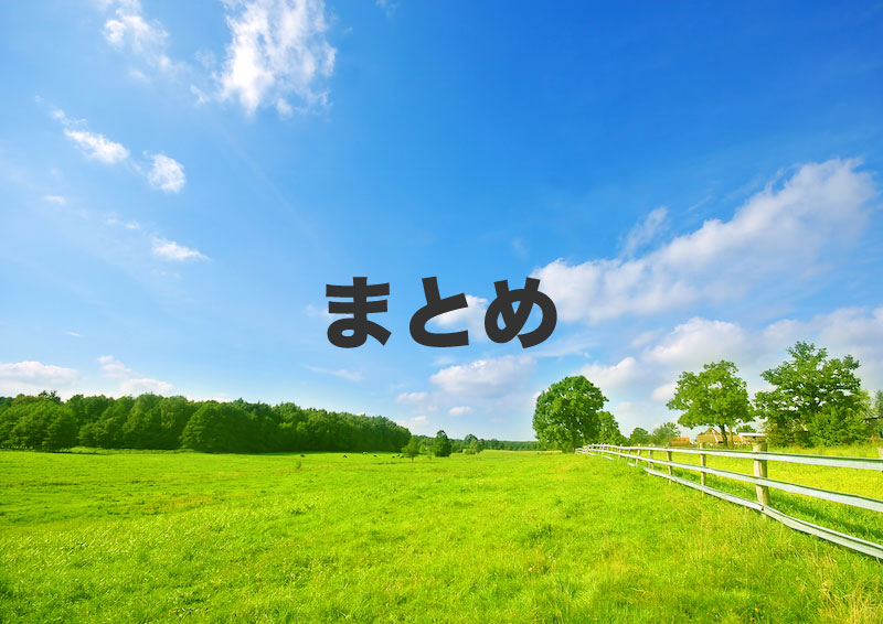 まとめ:田舎に強いモバイルWi-Fiの選び方