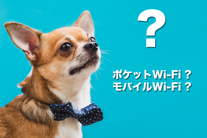 ポケットWi-FiとモバイルWi-Fiの違いは?