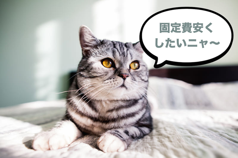 少しでも安く使いたいならスマホのキャリアと合わせるとお得!