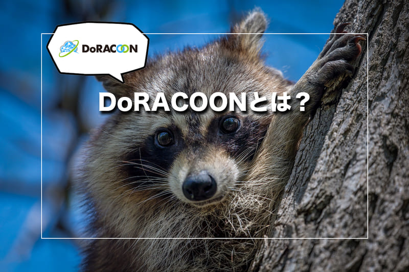 【基本情報】DoRACOON(ドゥラクーン)とは?