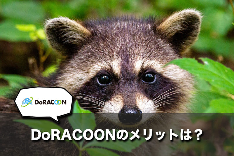 DoRACOONのメリット5つ