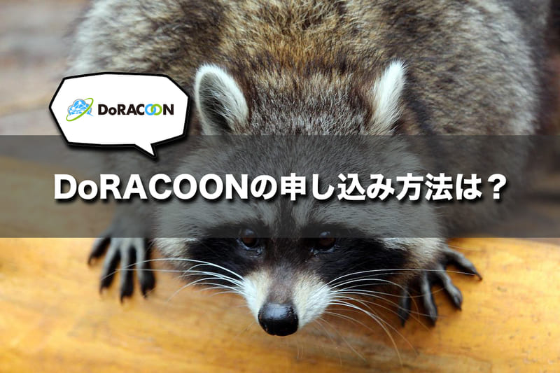 DoRACOONの申し込み方法と解約方法(法人・商号登記をしている個人事業主のみ)