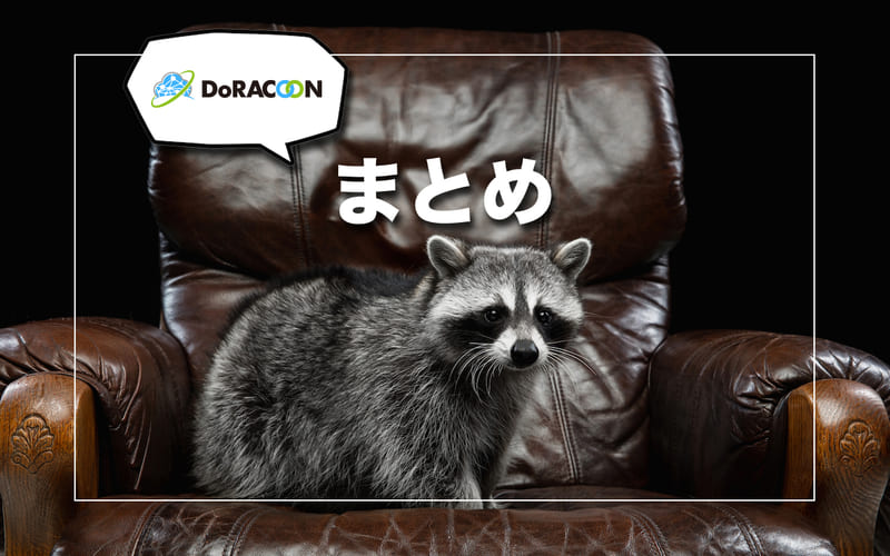 DoRacoon(ドゥ・ラクーン)のレビューまとめ